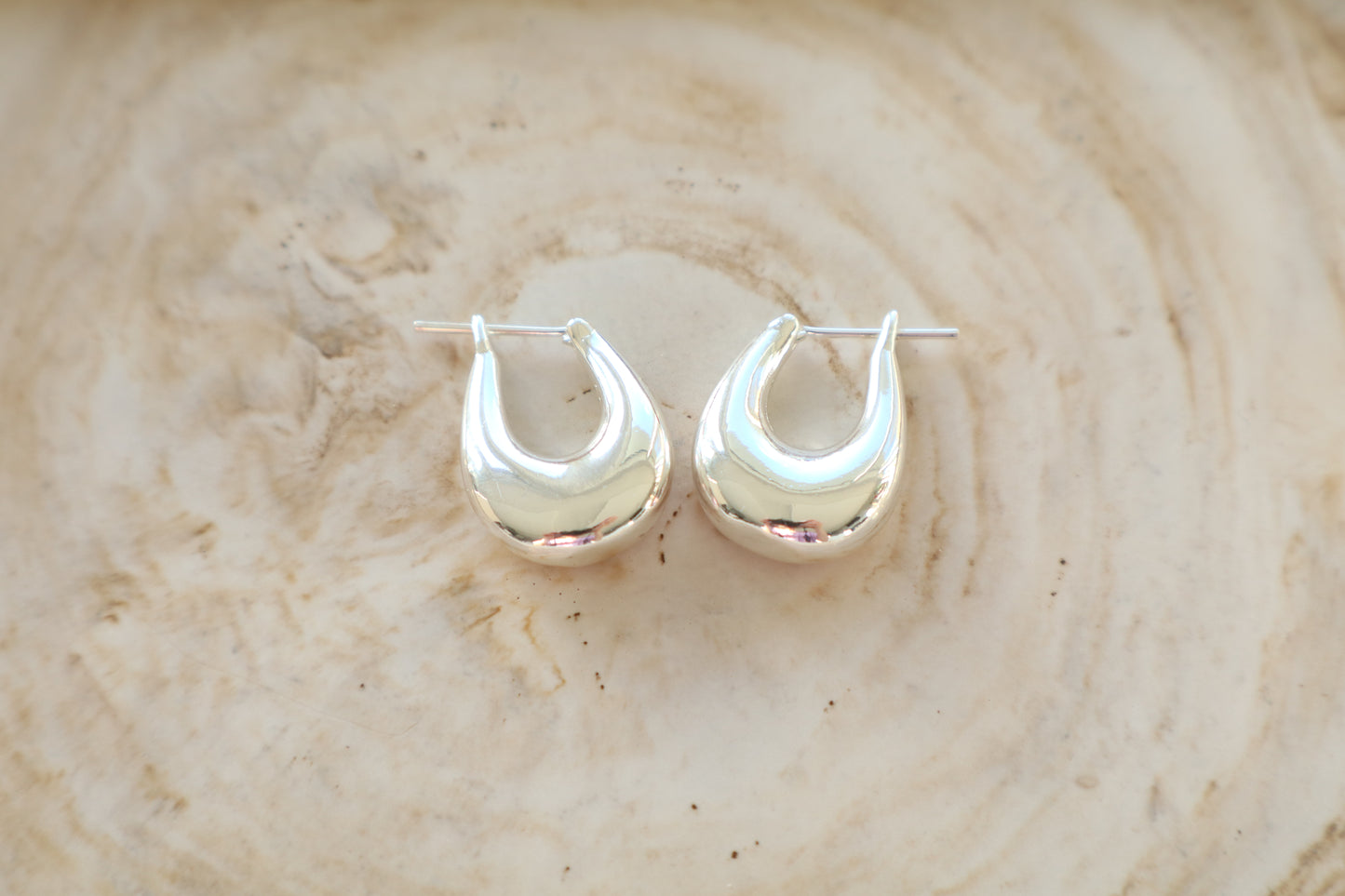 Sylvie Earrings (silver)