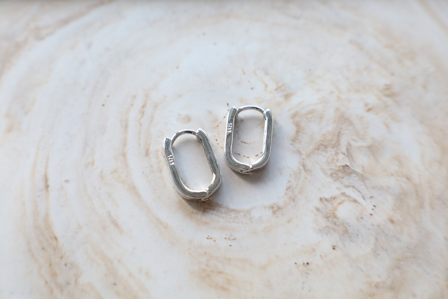 Dani Earrings (silver)