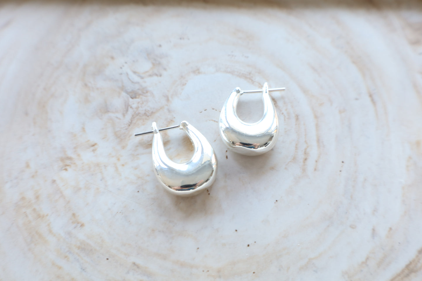 Sylvie Earrings (silver)