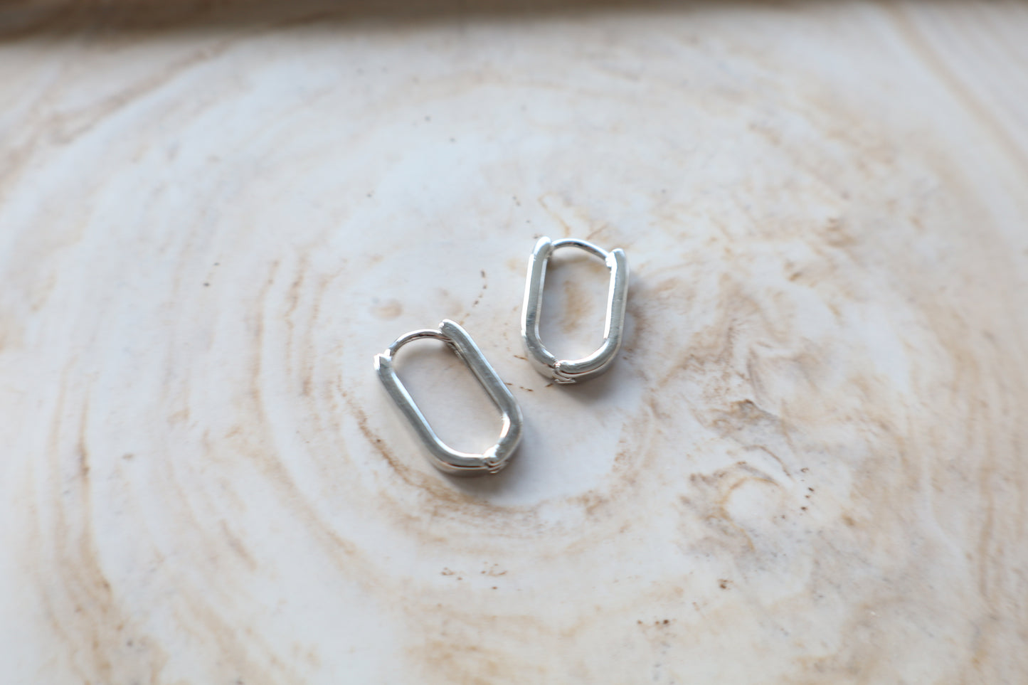 Dani Earrings (silver)