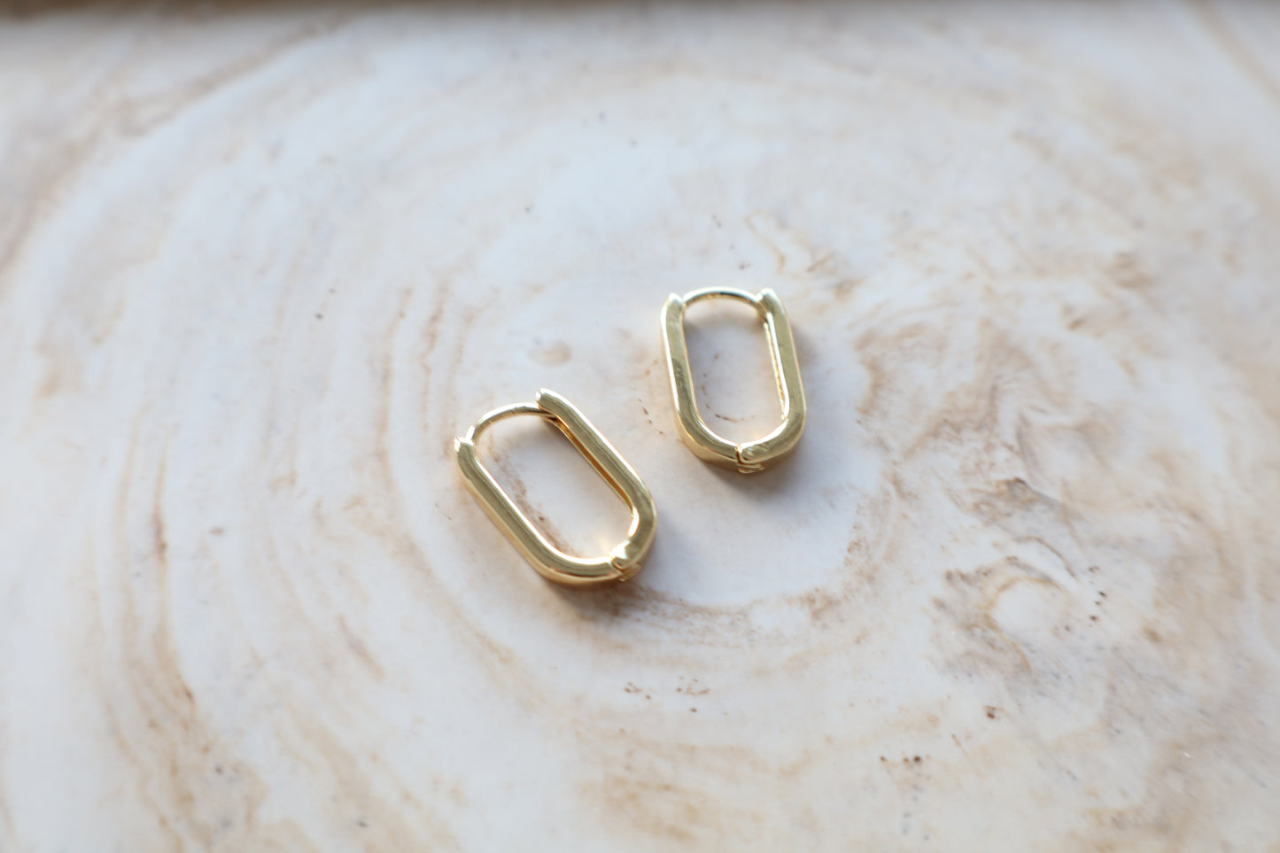 Dani Earrings (gold)